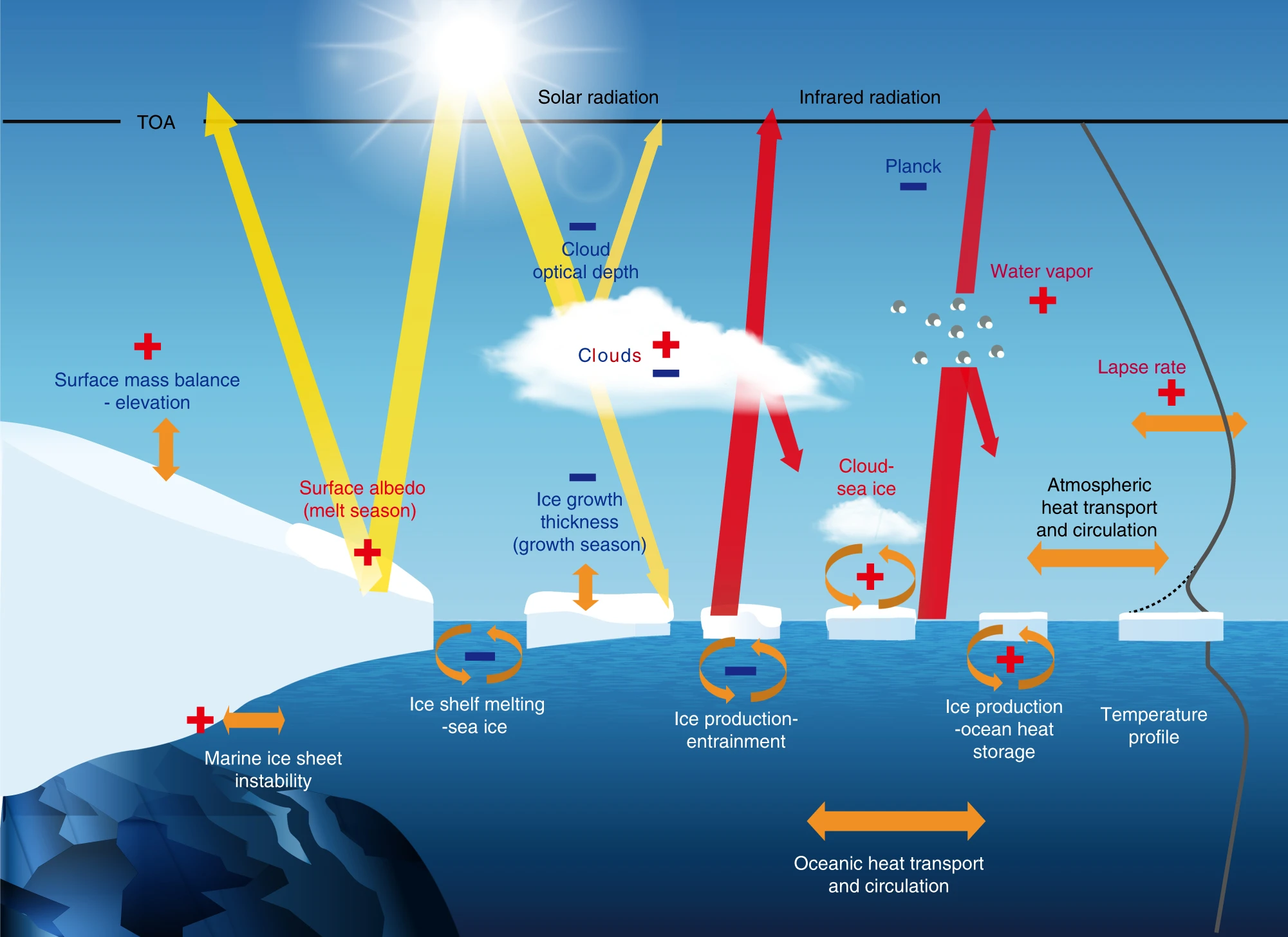 ../_images/arctic_feedback.png