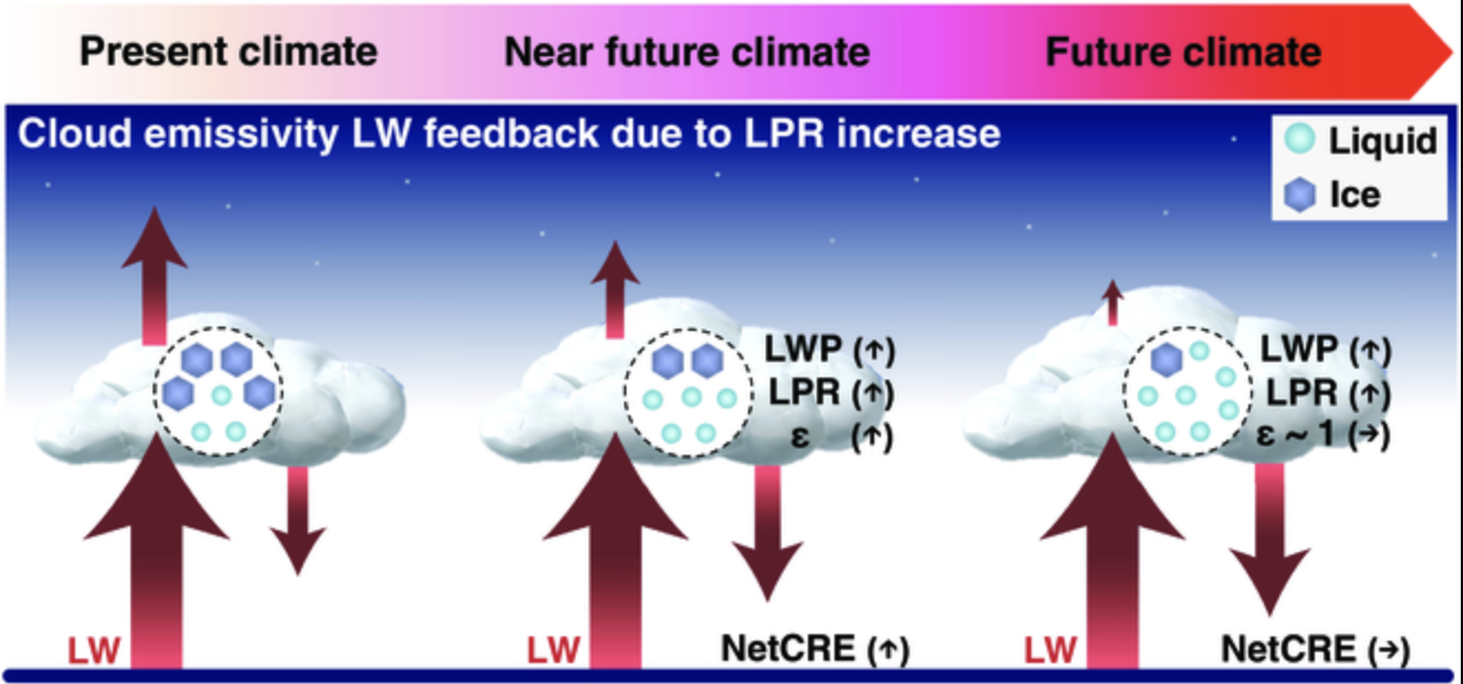 ../_images/cloud_feedback_tmp1.png